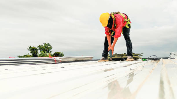 Best Roof Ventilation Installation  in Hamburg, AR
