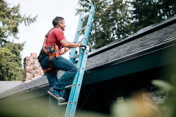Best Roof Maintenance and Cleaning  in Hamburg, AR